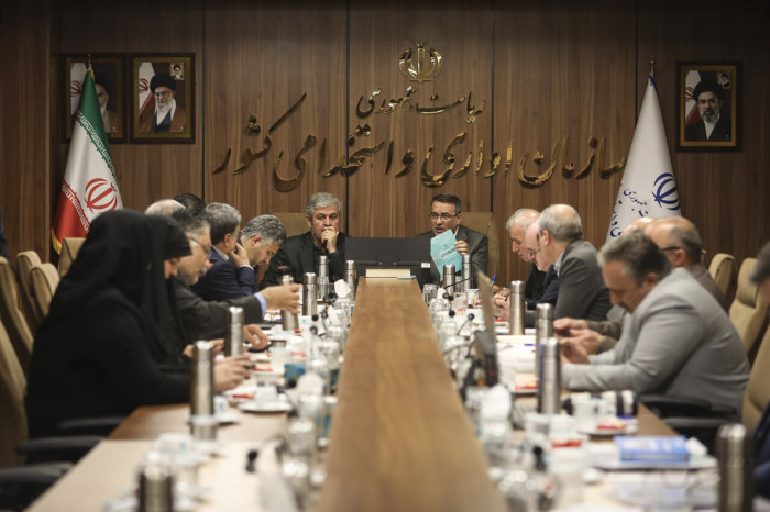 تاجگردون: مجلس پیگیر ساماندهی نیروهای شرکتی و چابک‌سازی ساختار دولت است