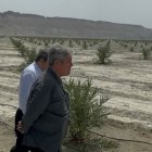 سفری ویژه از گچساران به بشاگرد؛ الگوی بزرگ‌ترین نخلستان جهان برای توسعه کشاورزی و اشتغال‌زایی در گچساران