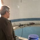 نظارت میدانی غلامرضا تاجگردون؛ پیشرفت پروژه استخر دانش‌آموزی «ضعیف» است