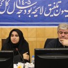 برگزاری نشست‌های نوبت صبح و عصر کمیسیون تلفیق بودجه ۱۴۰۵ با حضور وزرای دولت