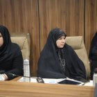 نشست مشترک کمیسیون برنامه و بودجه مجلس با رئیس سازمان اداری و استخدامی کشور