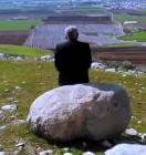 فیلم - مستند "باشت بهشت رویاها"