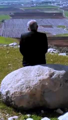فیلم - مستند "باشت بهشت رویاها"