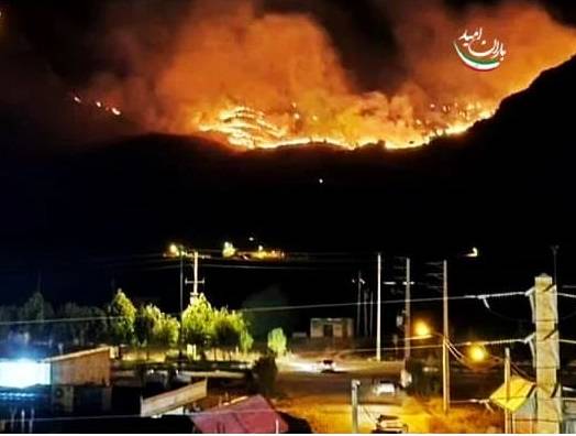 واکنش تاجگردون به آتش سوزی کوه های منطقه شلال دان باشت