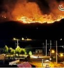 واکنش تاجگردون به آتش سوزی کوه های منطقه شلال دان باشت