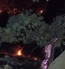 توضیحات غلامرضا تاجگردون درباره اقدامات انجام شده برای کنترل آتش‌سوزی های باشت و درخواست از جوانان