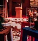 تقدیر از نخبگان علمی و فرهنگی یازده استان لُرنشین در جشنواره فرهنگی بلوط در دانشگاه تهران